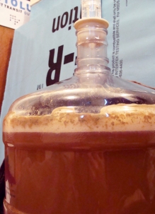 It ferments! The yeast were hard at work within 9 hours of pitching.
